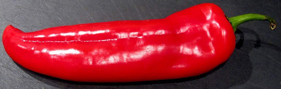 1. vask en stor paprika. Jeg bruker «smakspaprika» for de er hakket søtere enn de vanlige paprikaene. Prikk paprikaen med en spiss kniv.