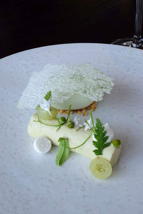 Så er det dessertkokk, Mathilde sin tur til å vise seg frem. Grønne stikkelsbær, grønn kamille og verbena. Dette er desserten for meg! Ikke for søt, men frisk og lett og så utrolig vakker! Så er det dessertkokk, Mathilde sin tur til å vise seg frem. Grønne stikkelsbær, grønn kamille og verbena. Dette er desserten for meg! Ikke for søt, men frisk og lett og så utrolig vakker!