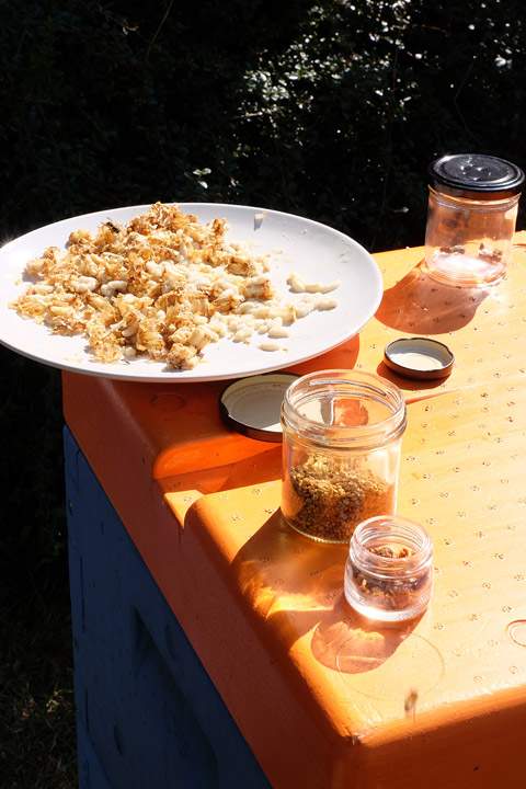 Produkter fra biene: honning, pollen, propolis, larver og bikake.