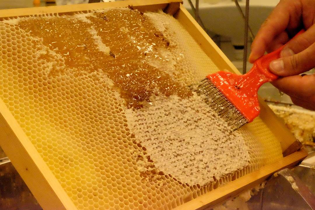 Voksen skrapes av slik at honningen tyter ut av hullene.