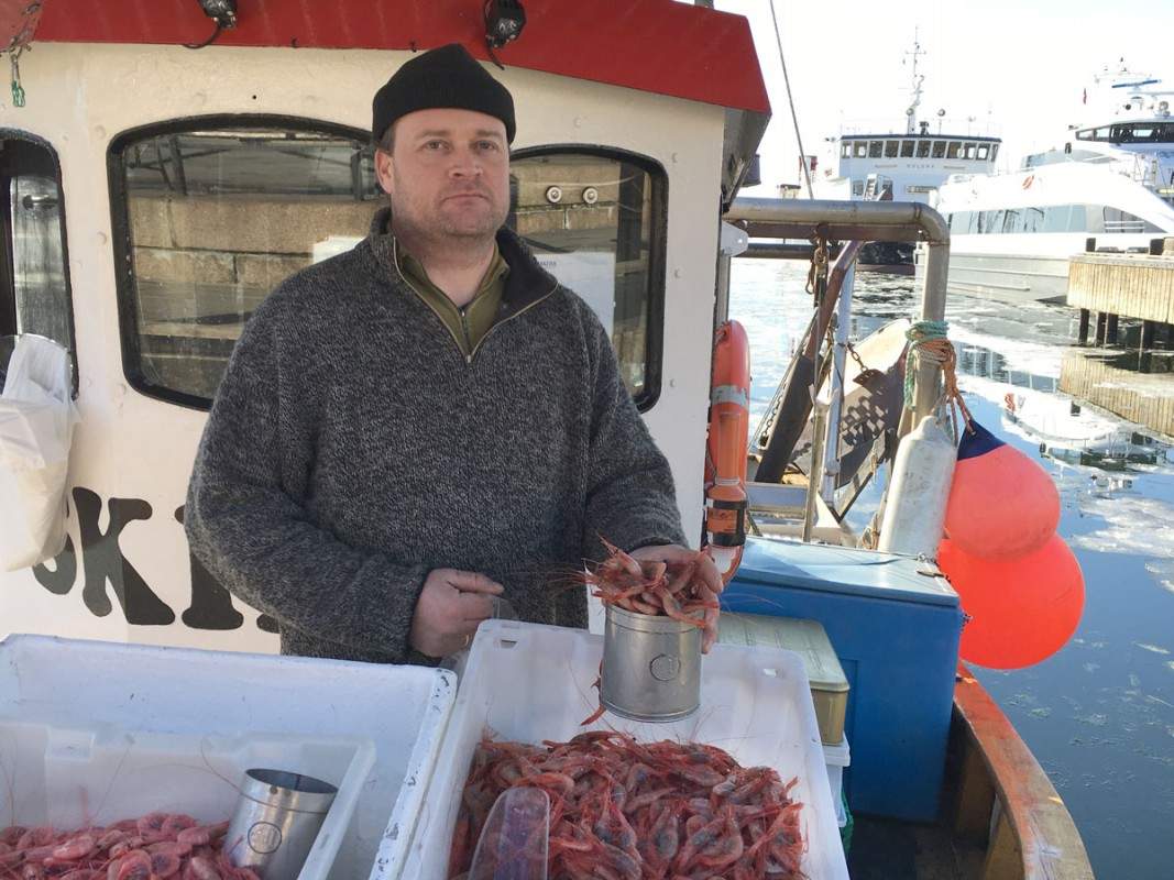 Fiskeren på Rådhuskaia tilbyr både rå og kokte reker.
