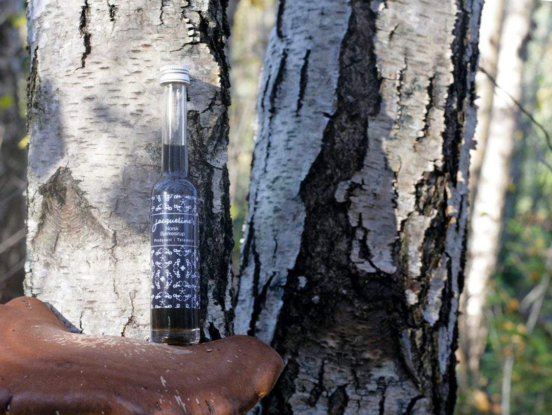 Norges første bjørkesirup bottle in woods1 1080x811 - Norges første bjørkesirup