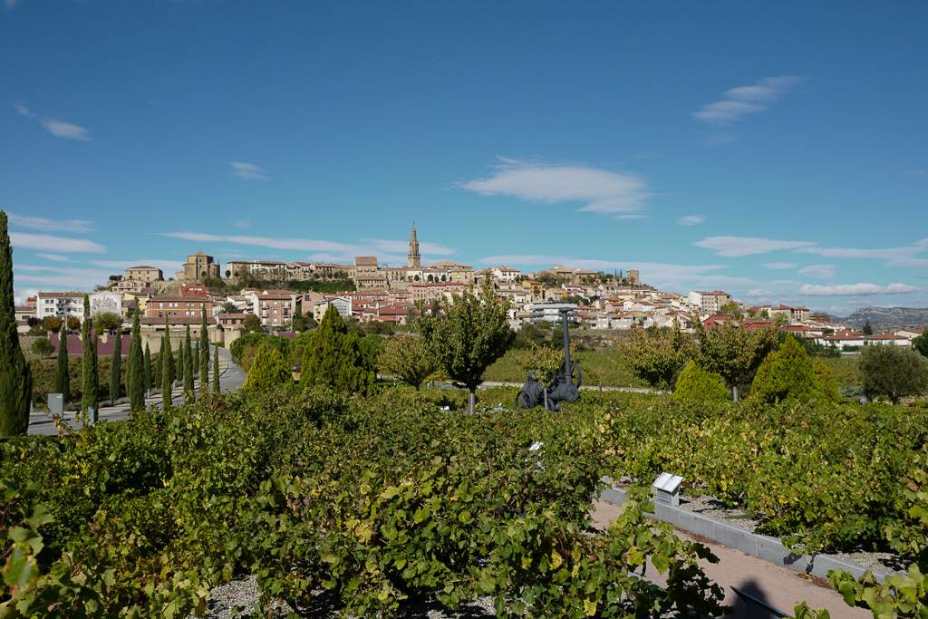 En vinrød tråd gjennom La Rioja L1310936 - En vinrød tråd gjennom La Rioja