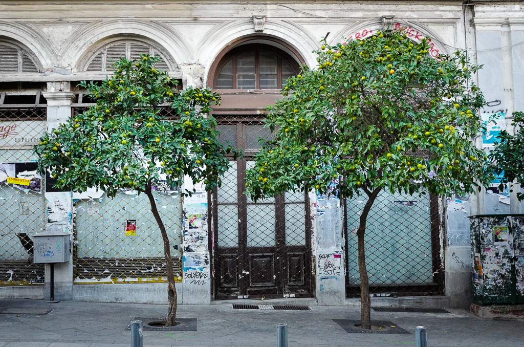 Matmarkedet i Athen L1320755 - Matmarkedet i Athen