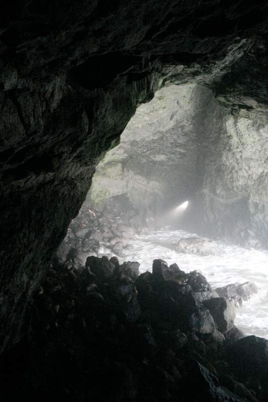 Trøfler og vin, fjell og sjø i Oregon sjoeloeve hulene3 - Trøfler og vin, fjell og sjø i Oregon