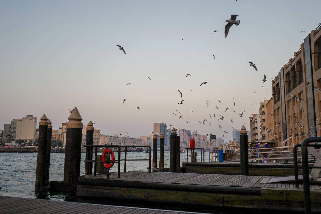 Dubai – bak luksusfasaden L1400201 - Dubai – bak luksusfasaden